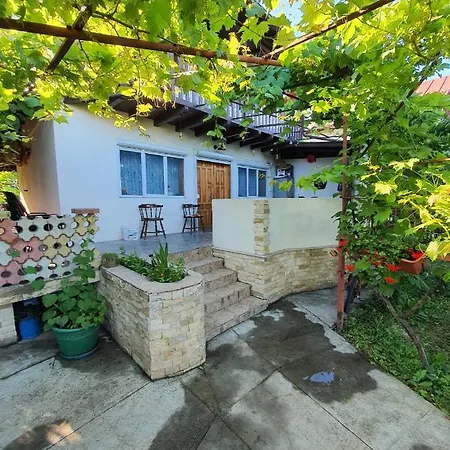 Vila Mamaia Sat Casa vacanze *